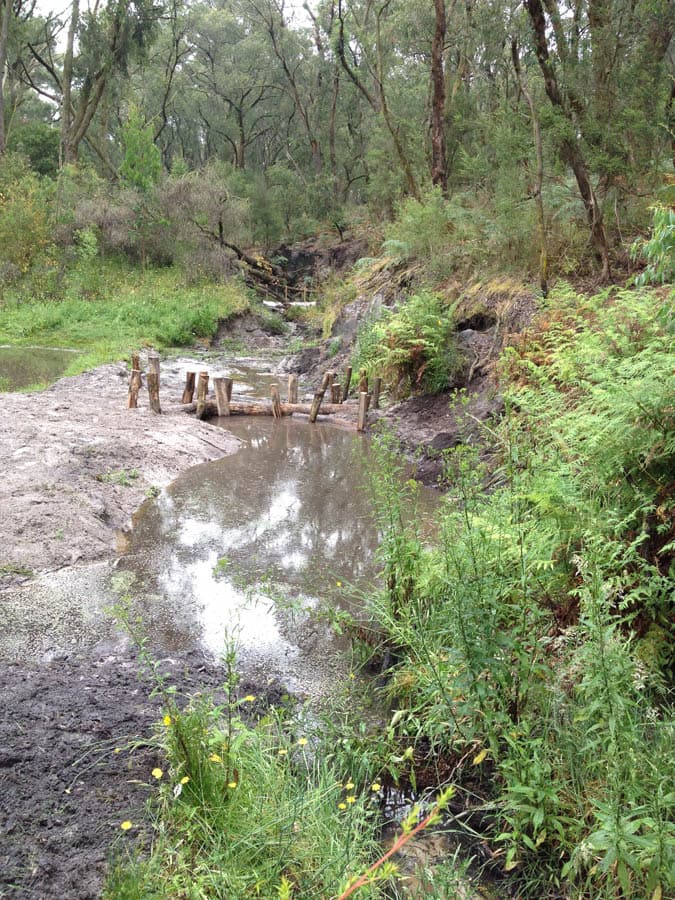 Muddy forest stream with debris