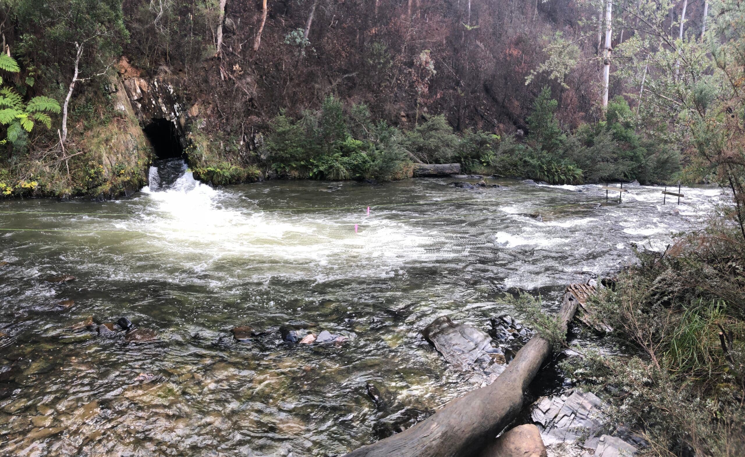 Water flowing from cave entrance