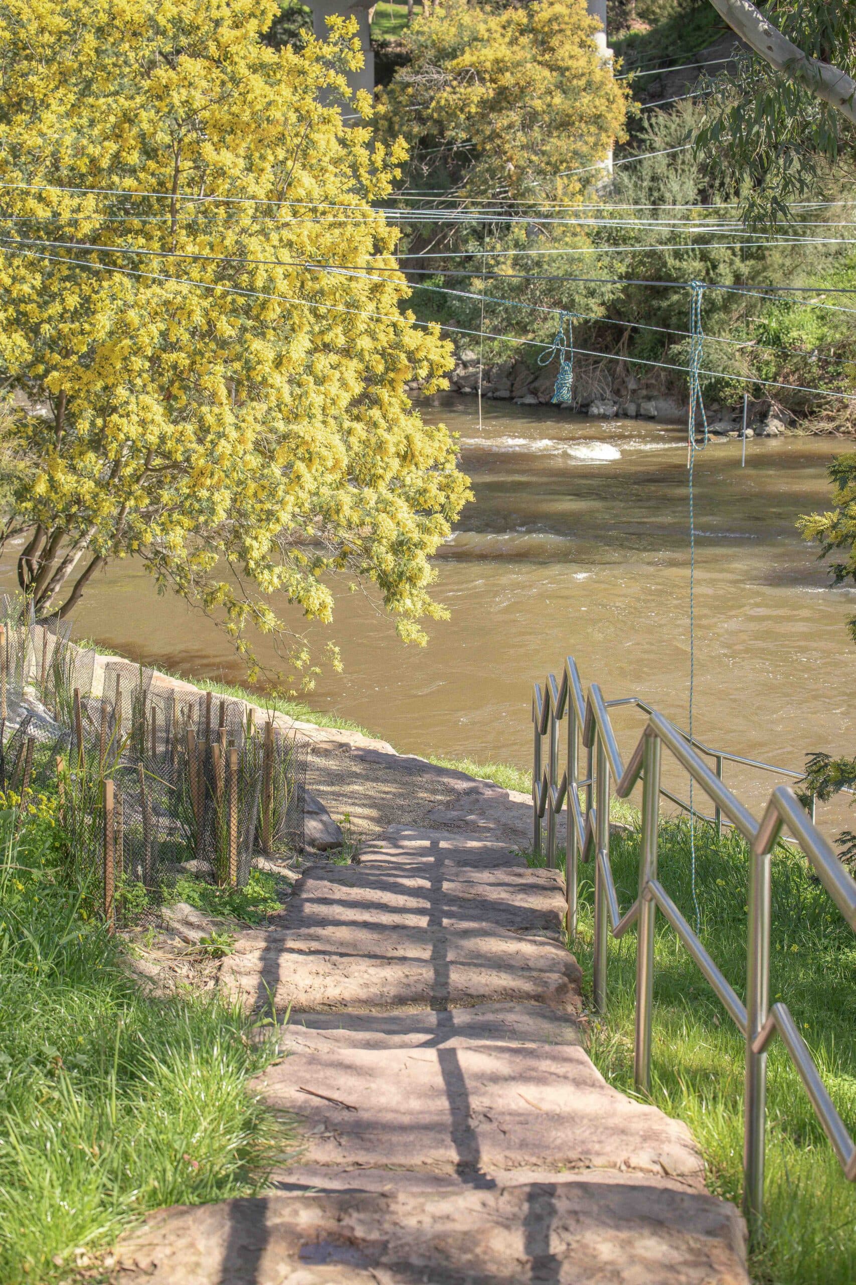 Path to water and trees