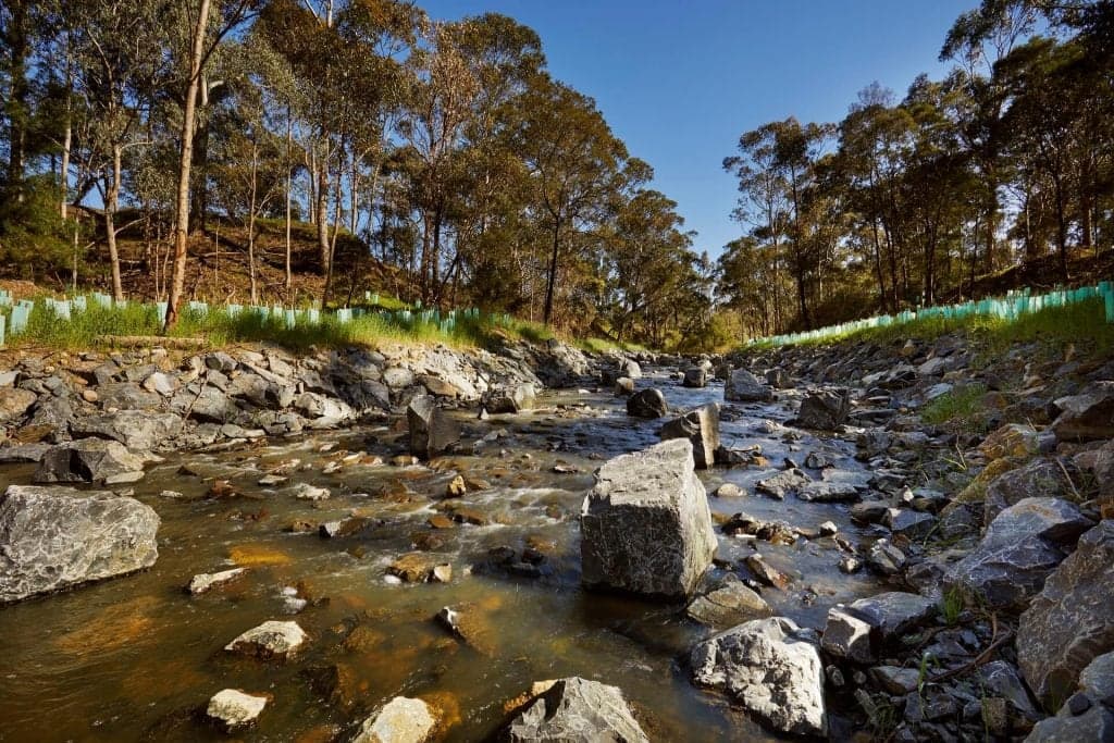 Rocky creek bed with trees