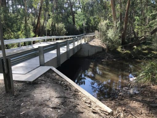 Forest bridge over stream