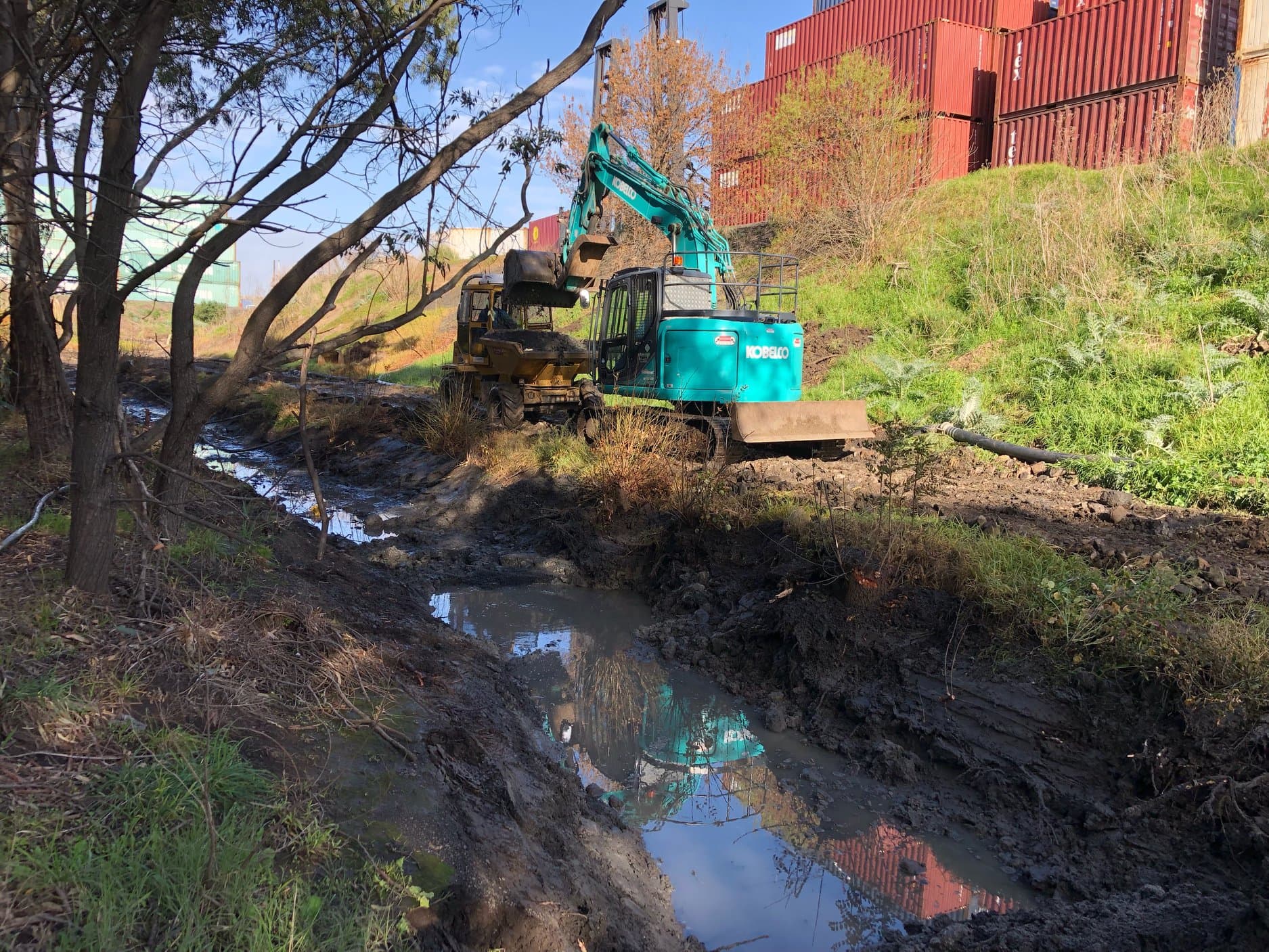 Excavator working in a narrow creek beside trees