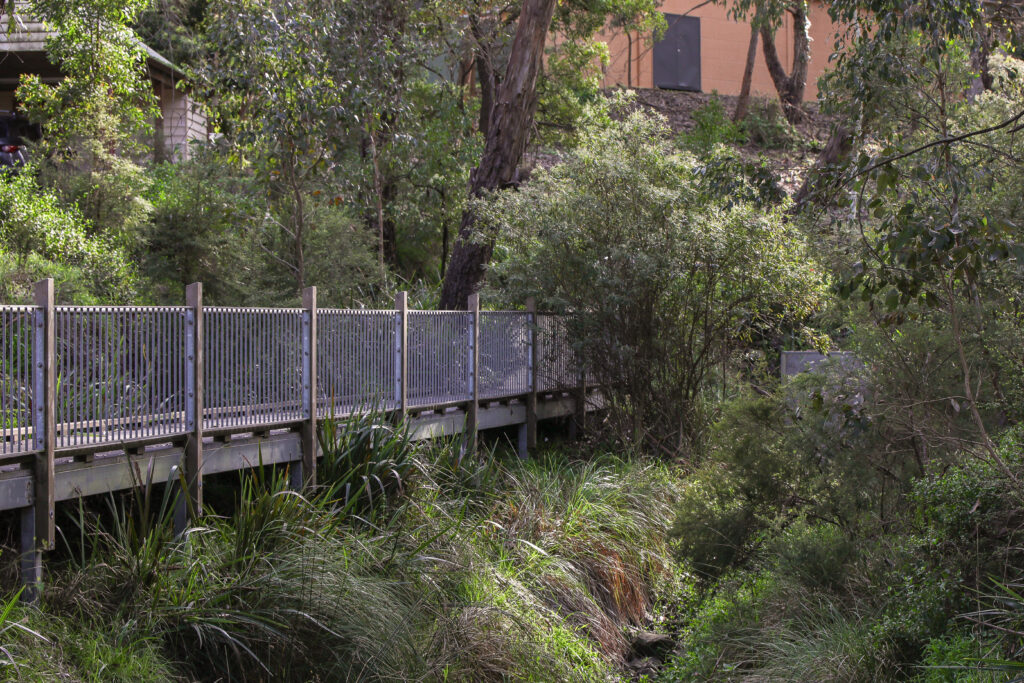 Wooden boardwalk through greenery