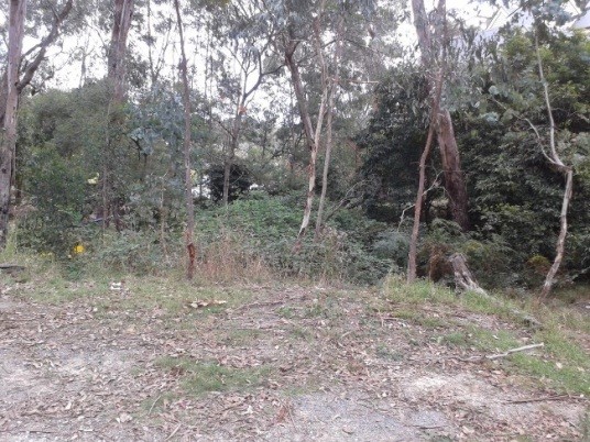 Maroondah City Council, Dromsally Reserve Dromsally Before1 1