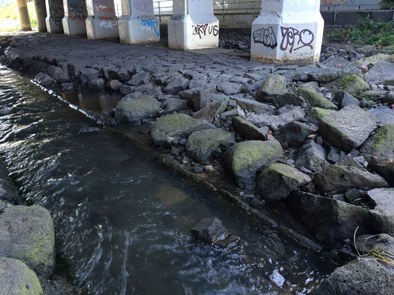 Urban stream under bridge