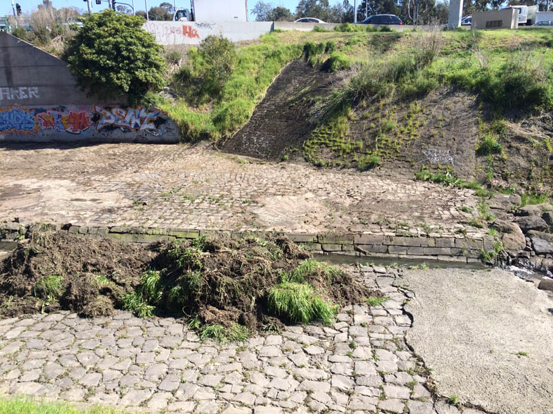 Overgrown embankment and paved area
