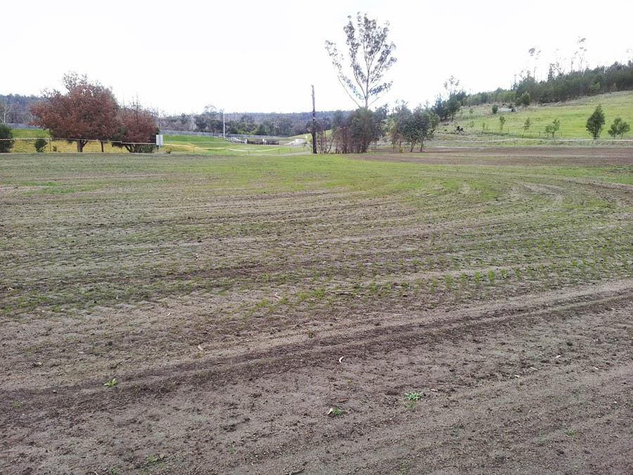 Freshly tilled farm field