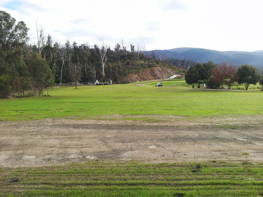 Green field with distant trees.