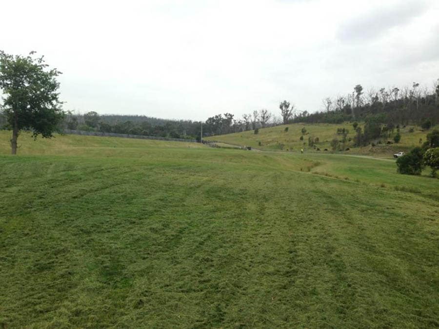 Green grassy hills and trees