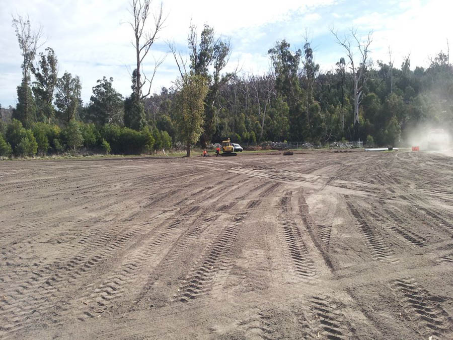 Cleared land with tire tracks