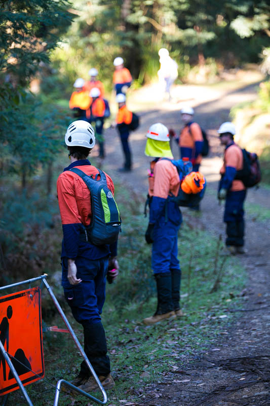 Team in safety gear hiking