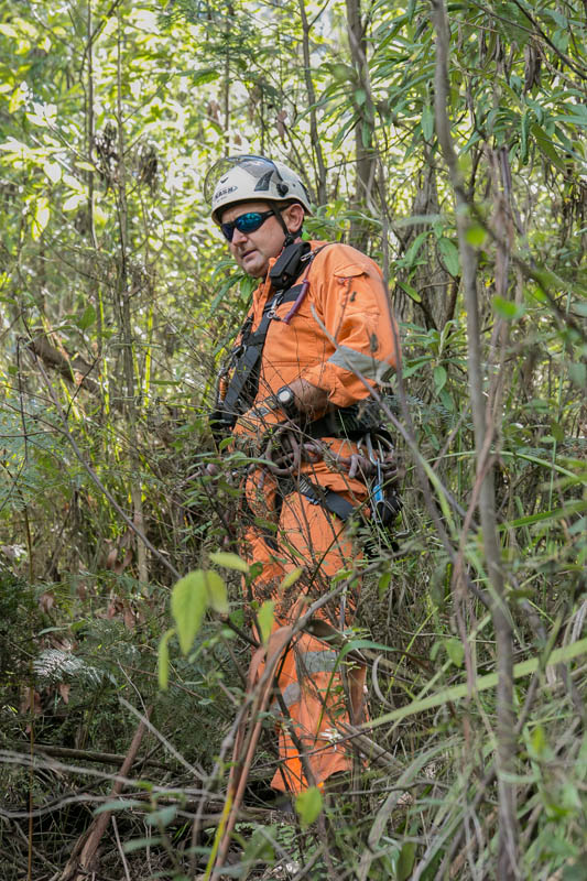 Arborist in orange uniform forest