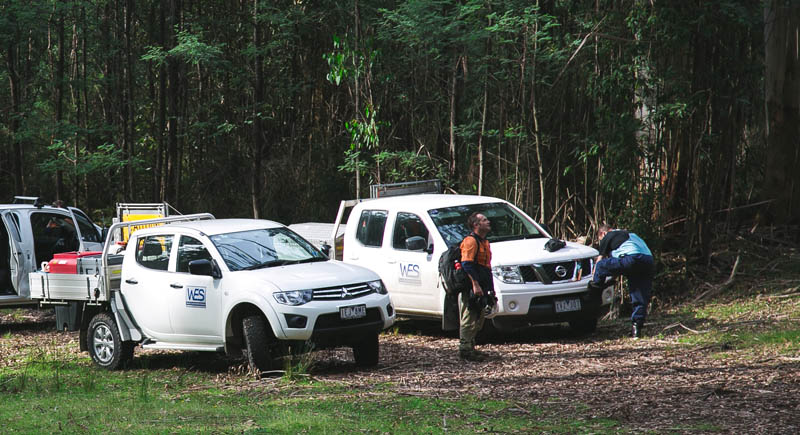 Crew with vehicles in woods
