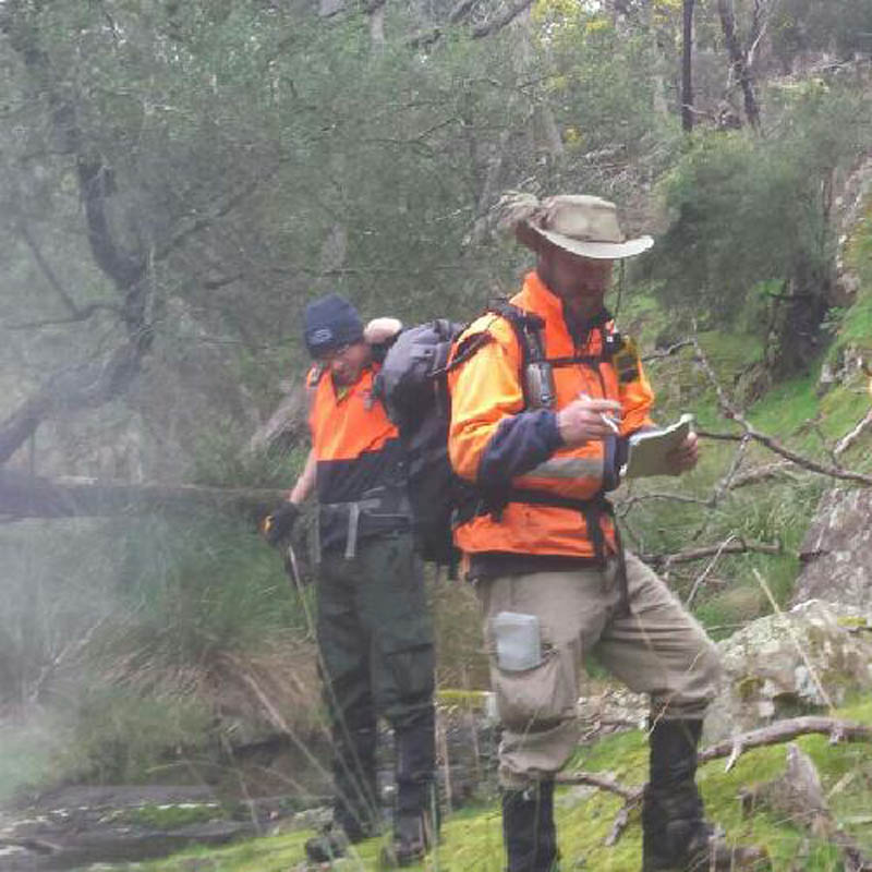 Hikers in safety vests