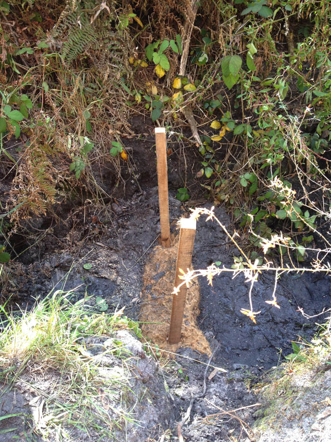 Wooden stakes in muddy ground