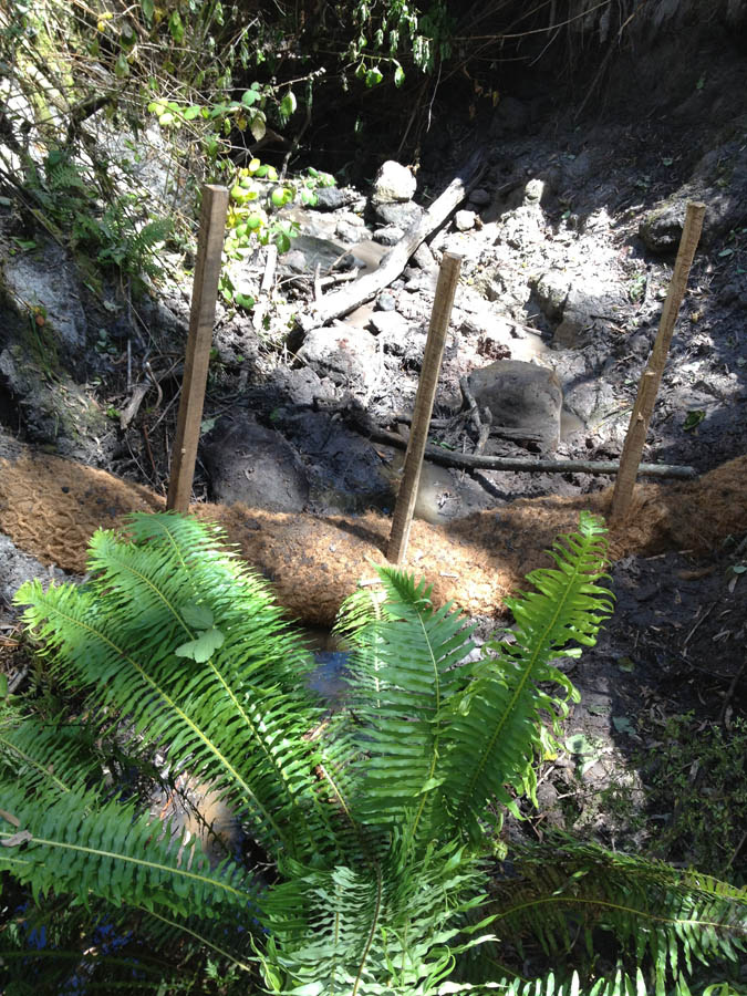 Erosion control with mulch and stakes