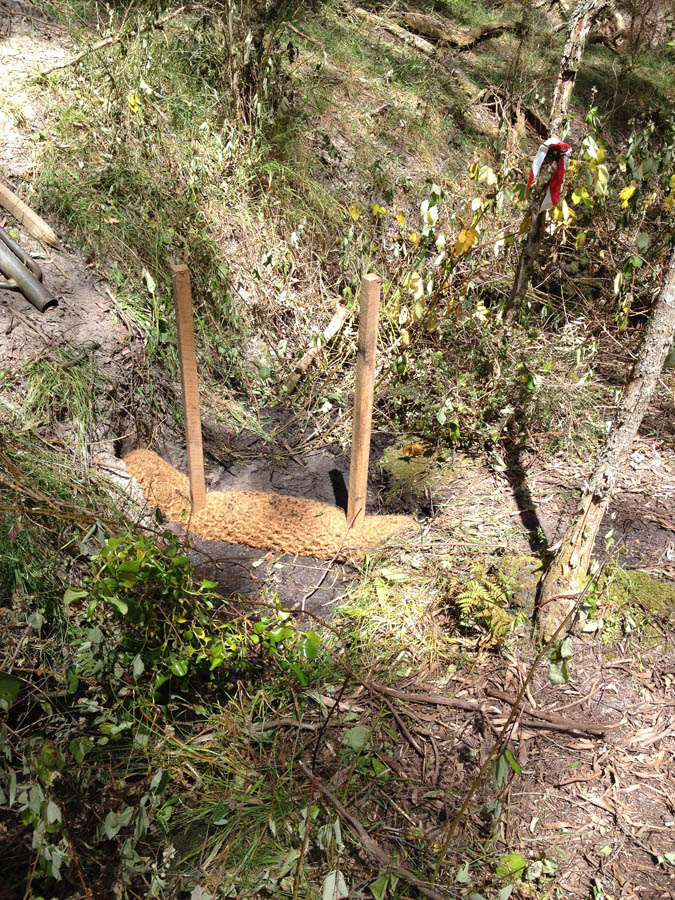 Wooden structure in forest