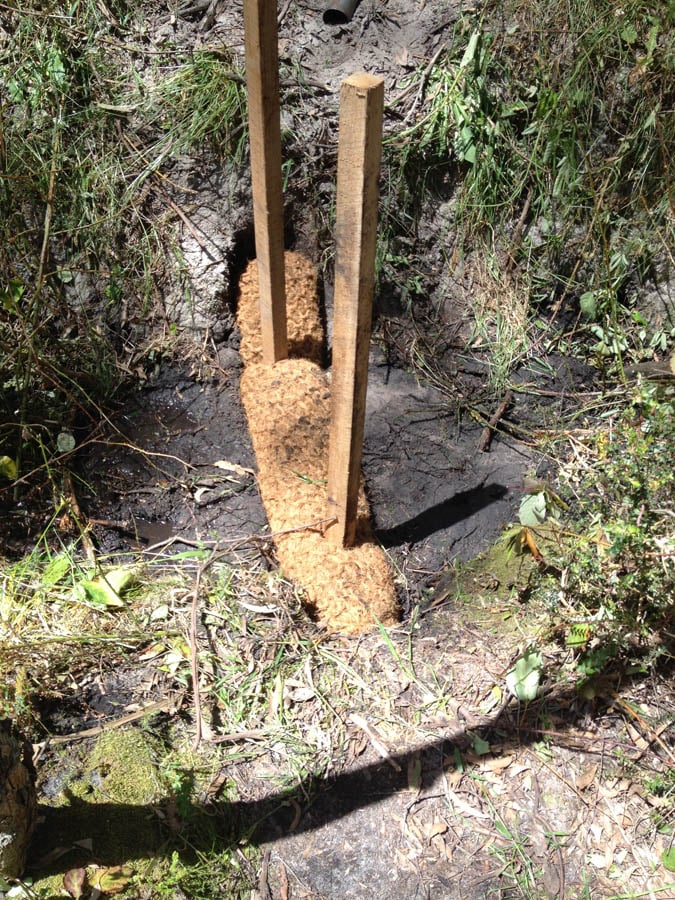 Wooden stakes in dirt