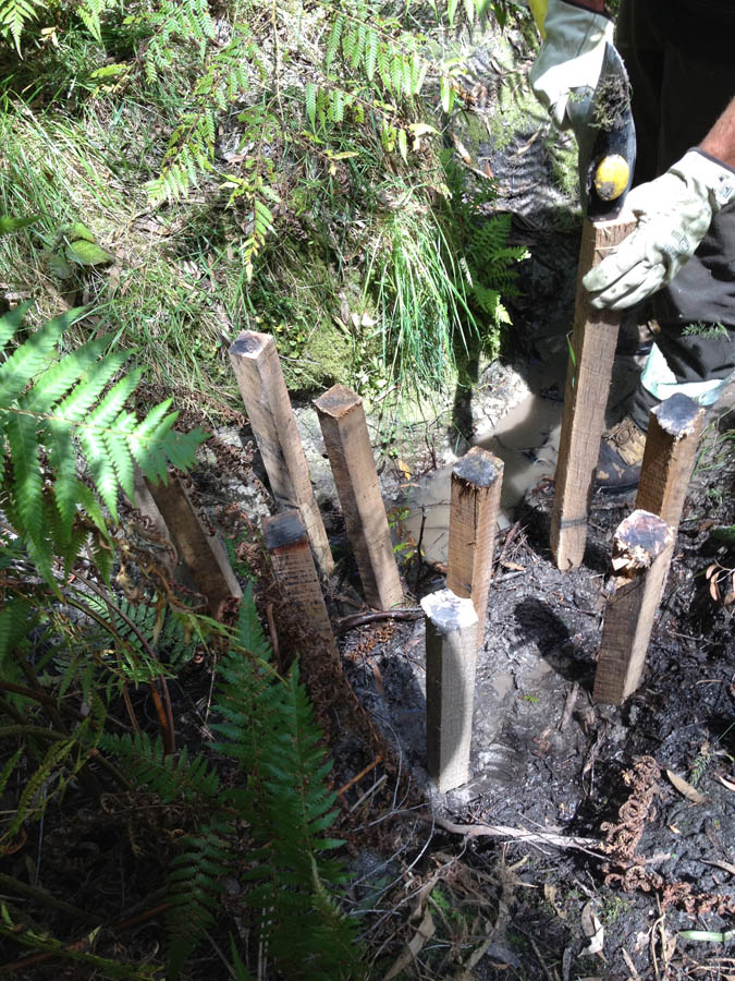 Planting stakes in soil