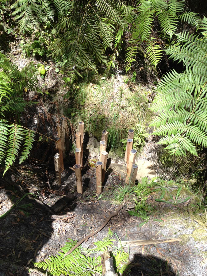 Wood stakes in garden