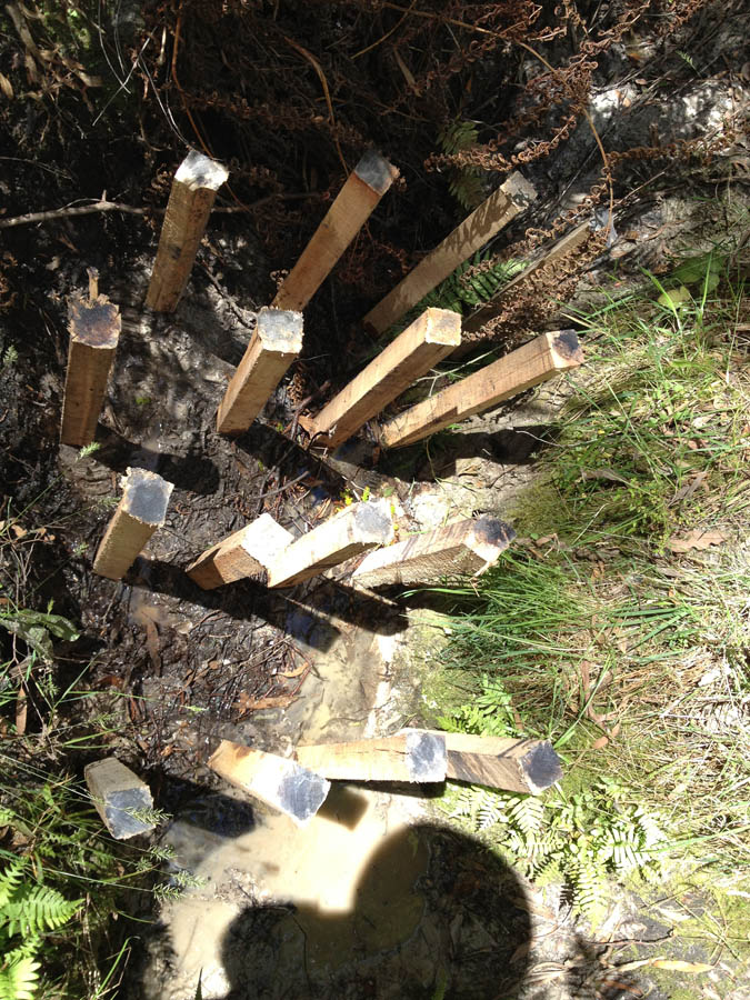 Wooden stakes in soil