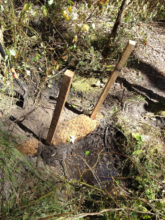 Wooden stakes in ground