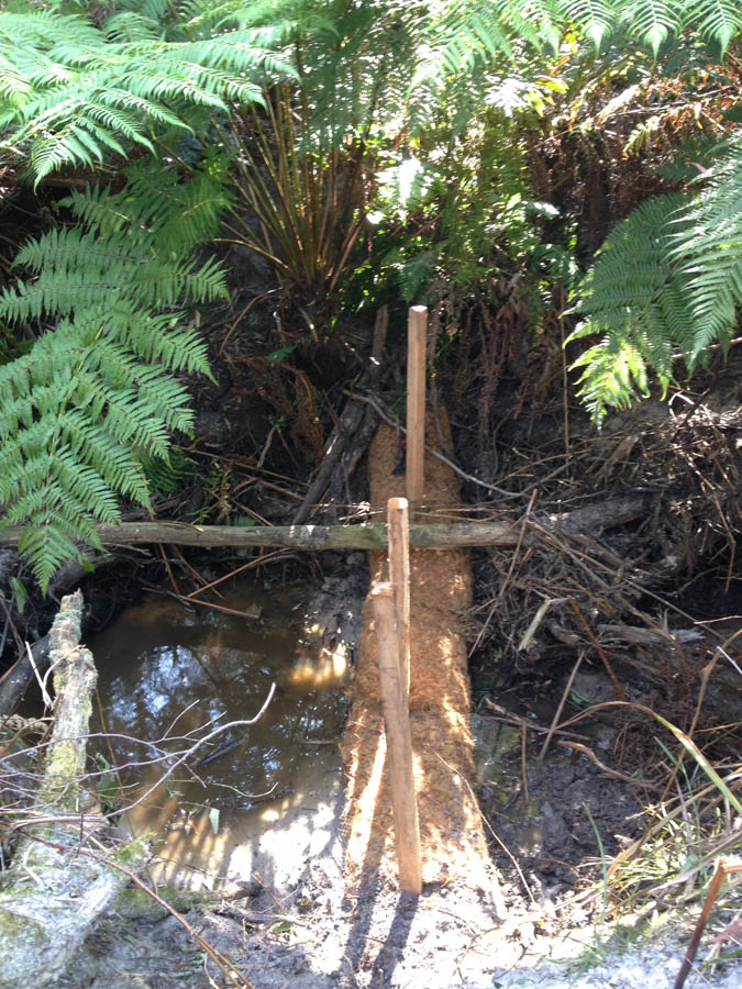 Wooden structure in forest