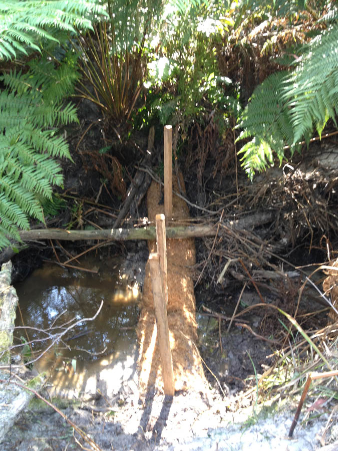 Wooden posts in stream