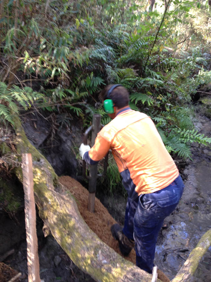 Man trimming fallen tree
