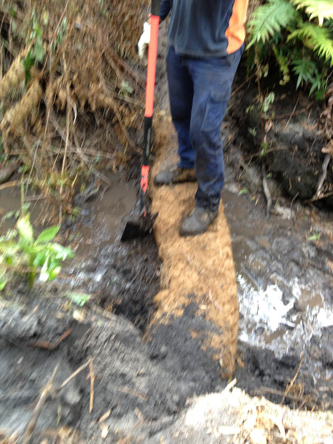 Person digging with shovel