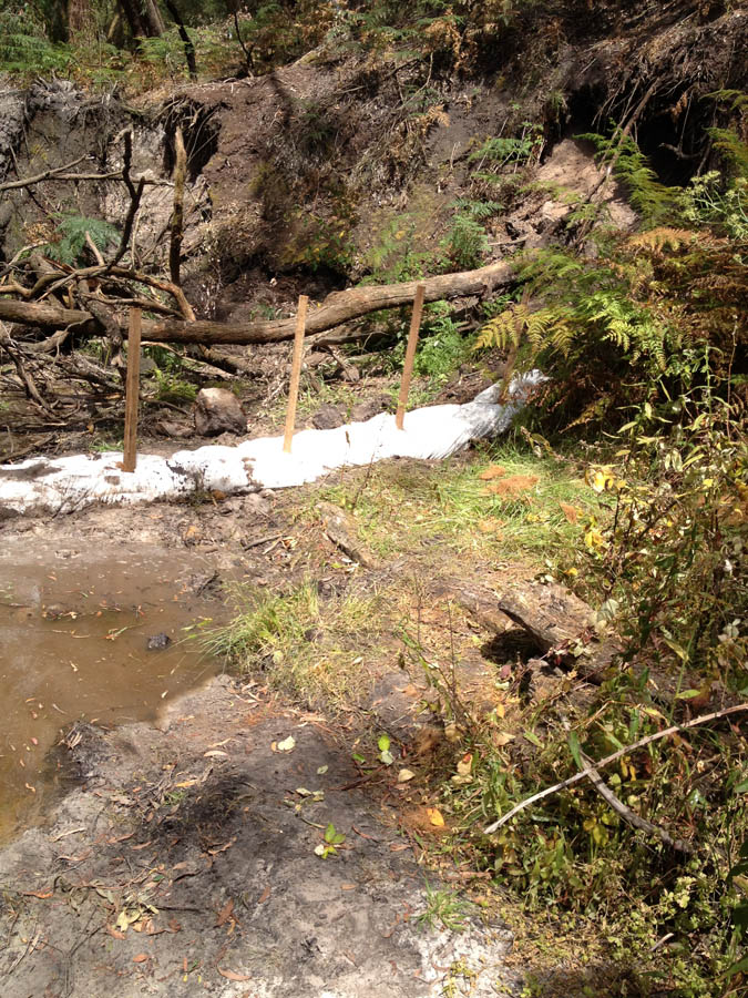 Erosion control barrier in forest.