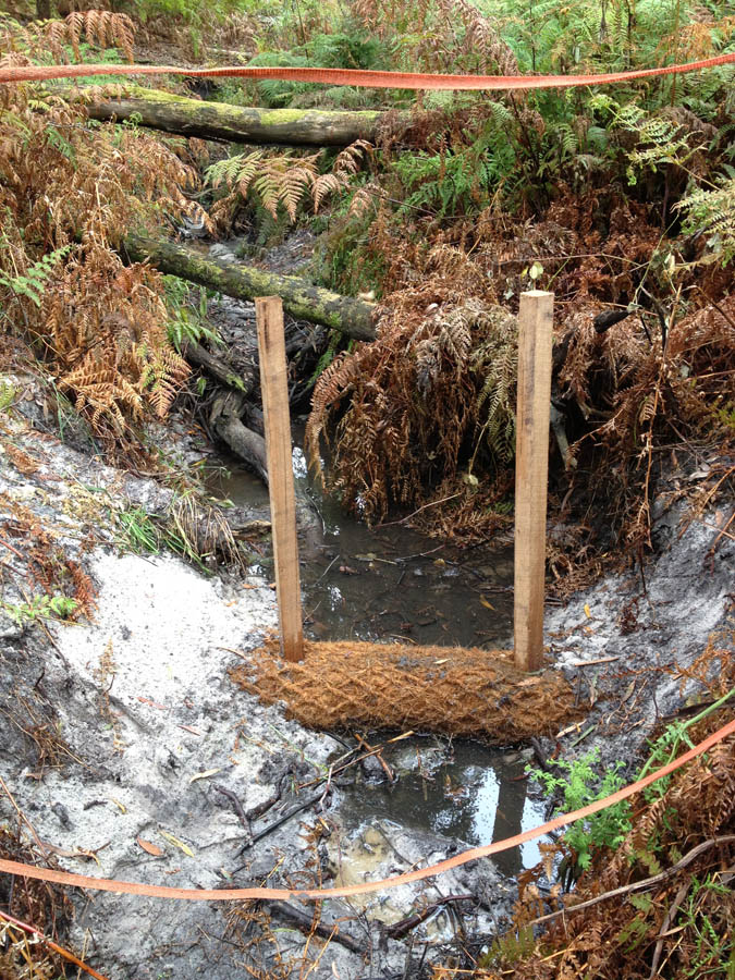 Forest stream erosion control structure
