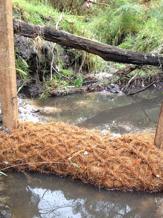 Erosion control in stream