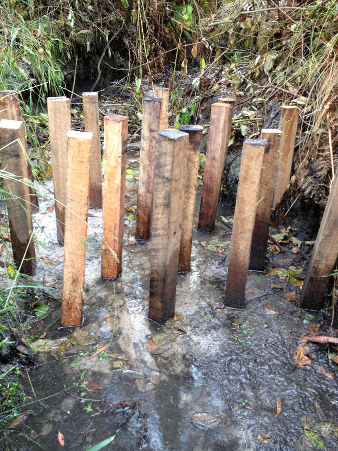 Wooden stakes in muddy ground
