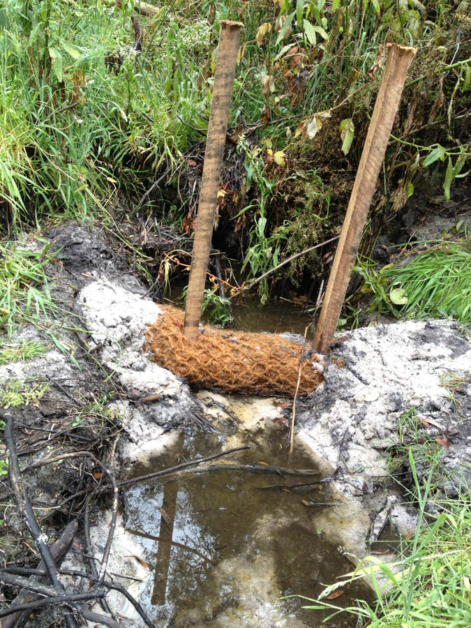Erosion control at stream bank