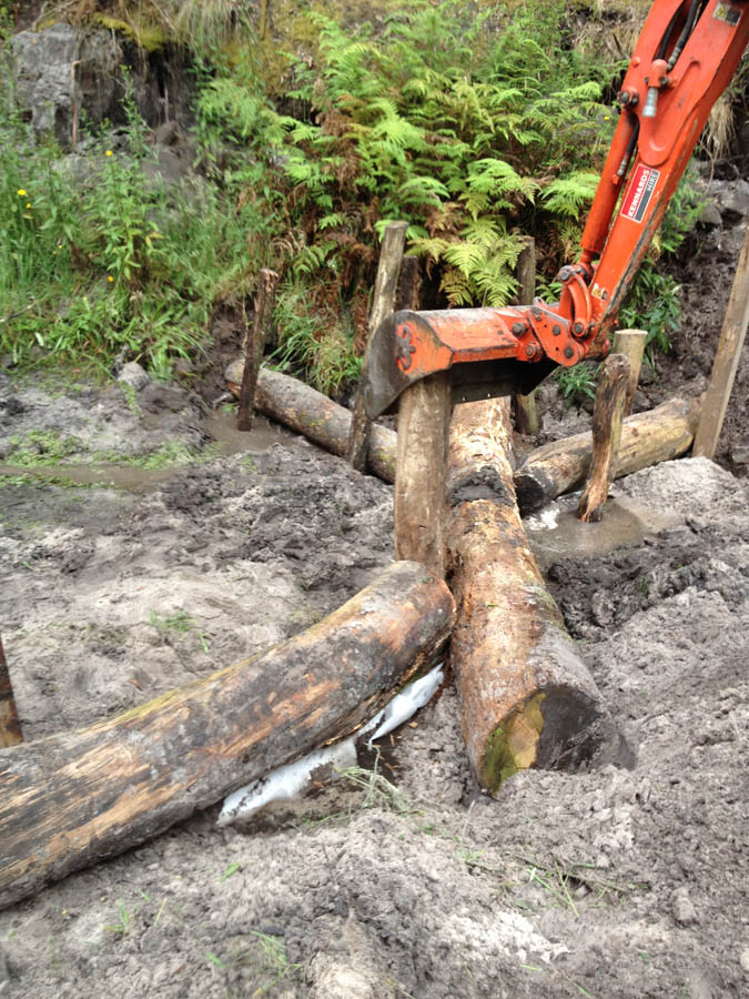 Excavator lifting logs