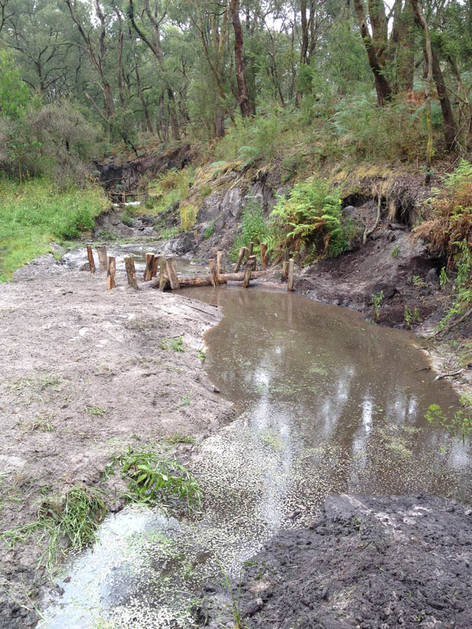 Forest stream with wooden posts