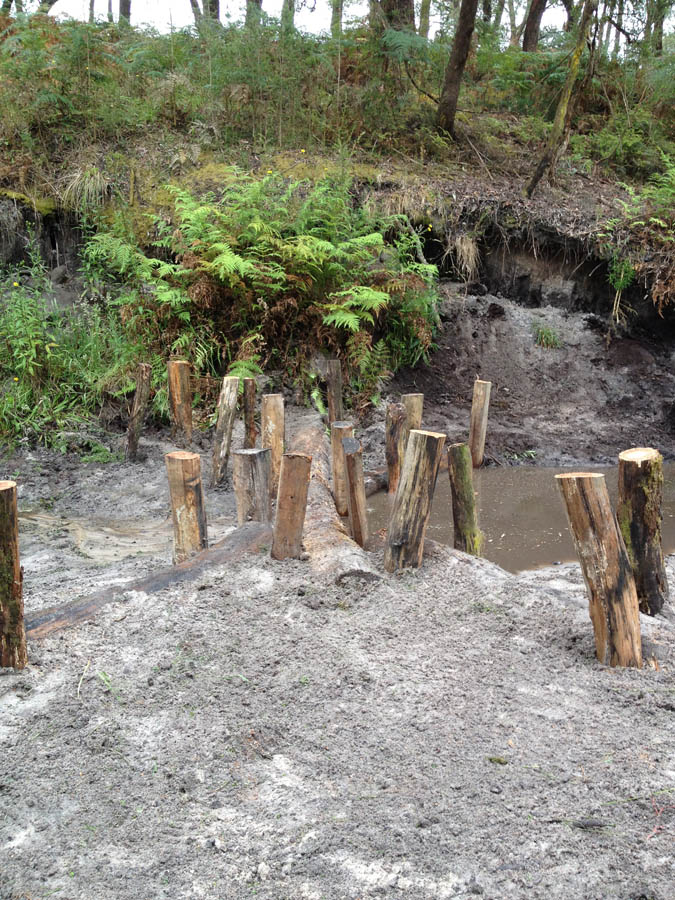 Wooden posts in muddy ground