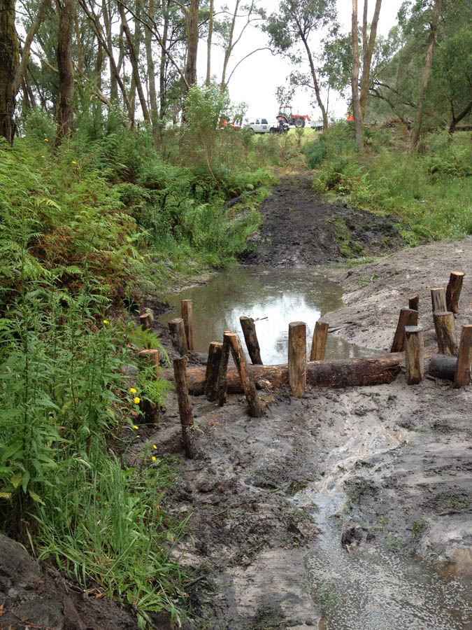 Dirt path through wetlands