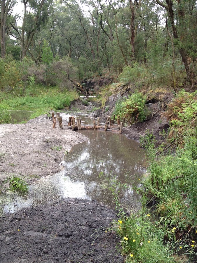 Wood debris in shallow water