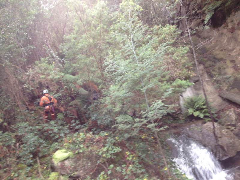 Canyoning expedition through lush forest