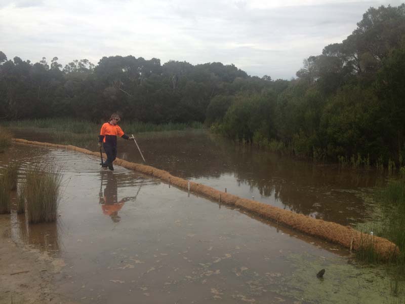 Worker deploys erosion control tube