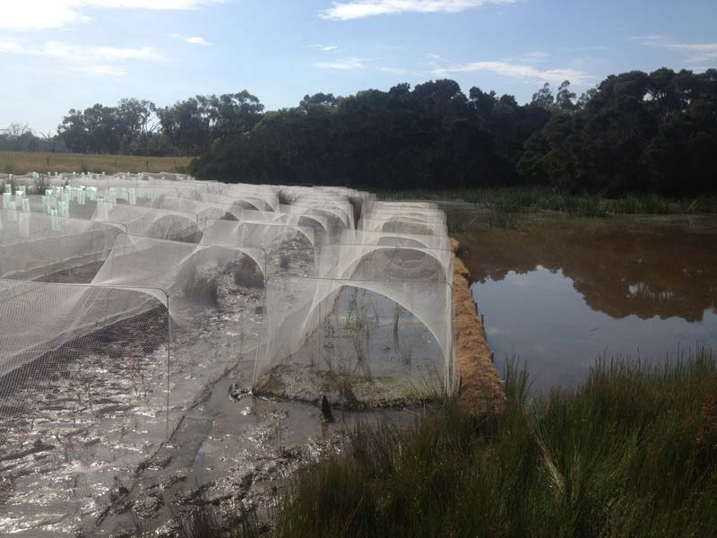 Farm irrigation system