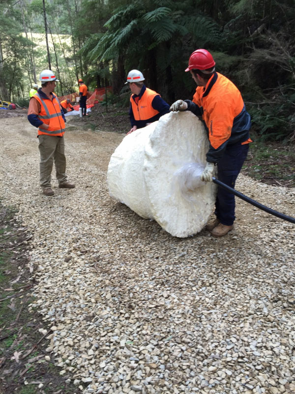 Workers spray large log.