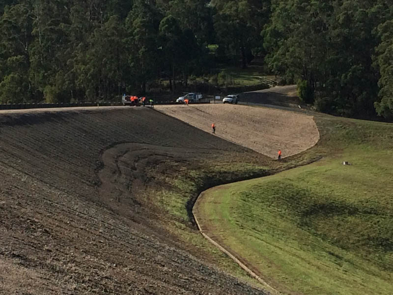 Hillside construction with trees