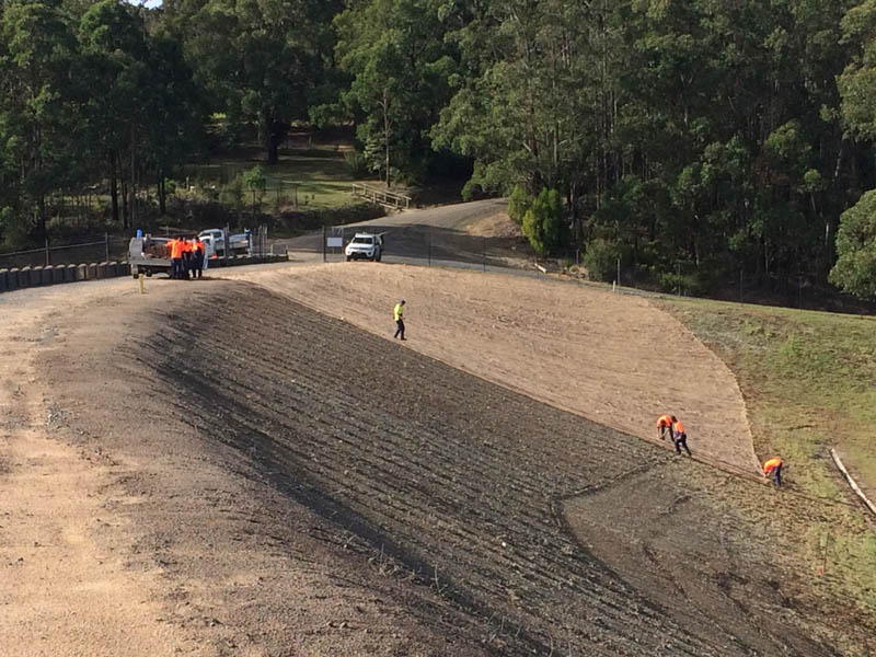 Workers planting vegetation on slope