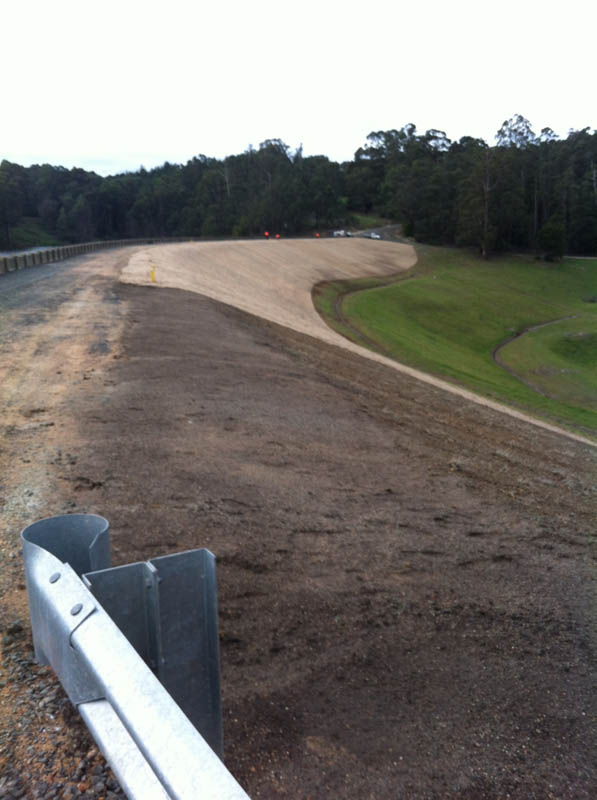 Dirt track with grassy verge