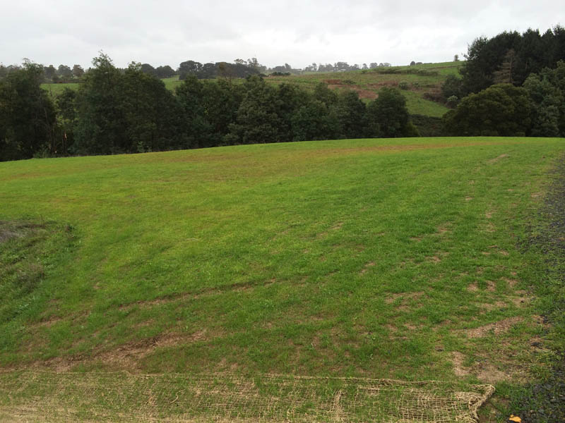 Green grassy rolling hills