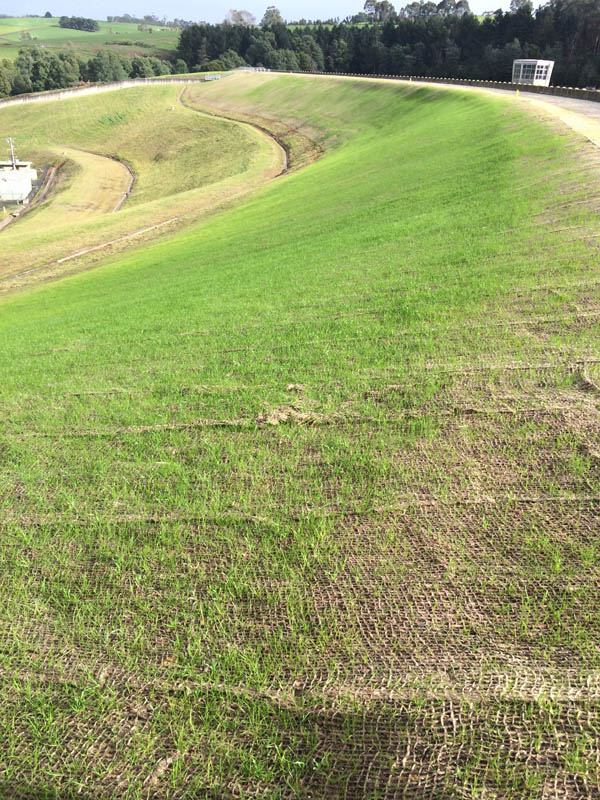Green grass slope landscape