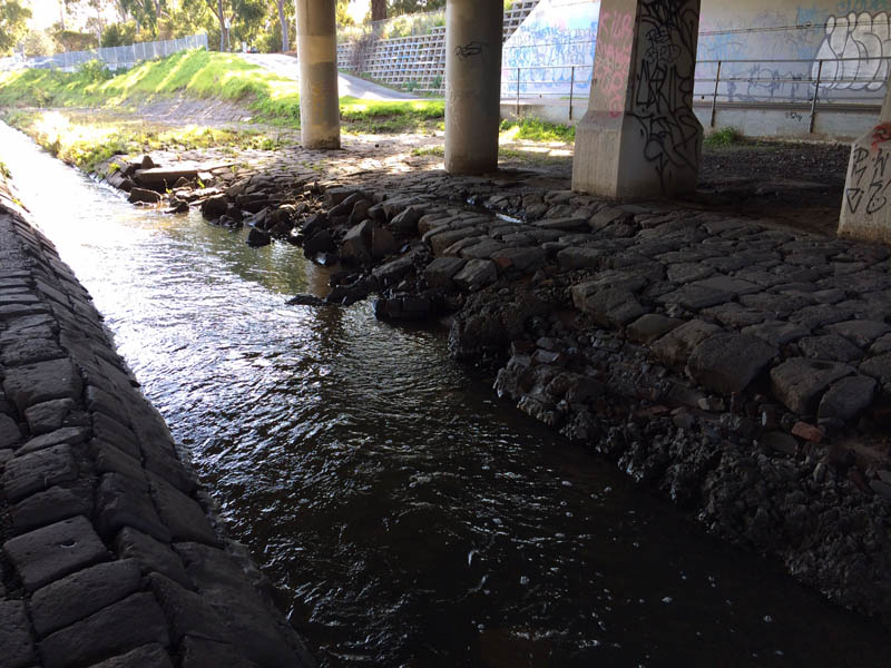 Small stream under bridge